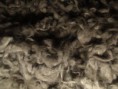/album/fotos4/auschwitz-cabelo-judeu-jpg/